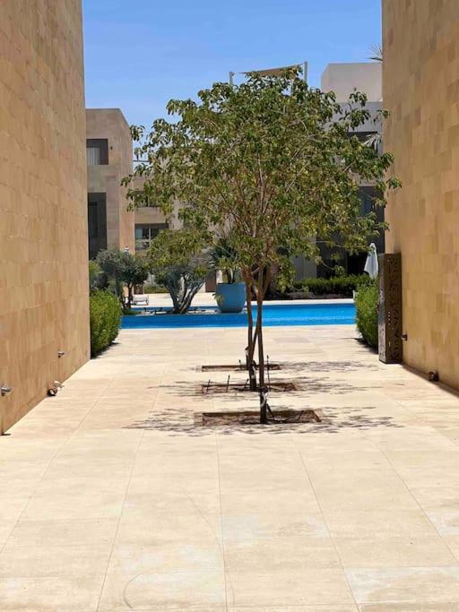 Apartment One Bedroom - Mangroovy El Gouna *