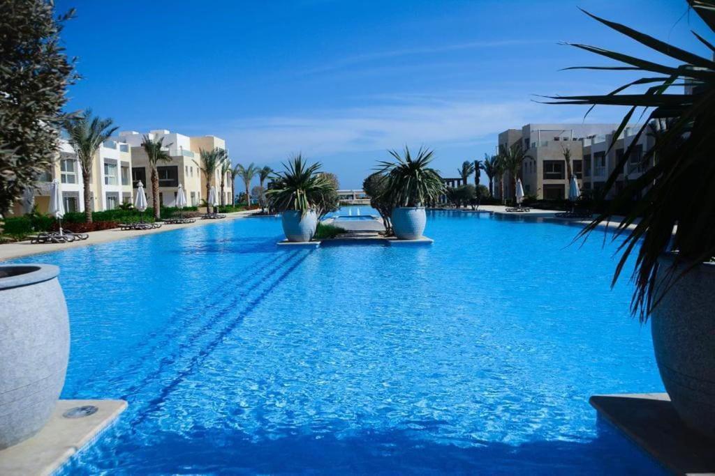 Apartment One Bedroom - Mangroovy El Gouna *